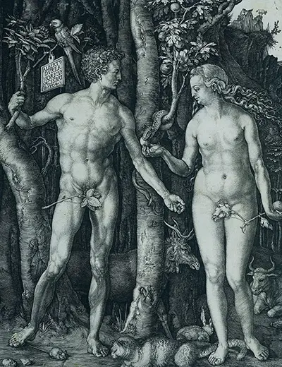 Adam und Eva Gravuren Albrecht Durer